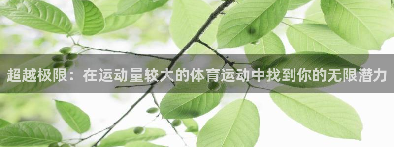 betway西汉姆：超越极限：在运动量较大的体育运动中找到你的无限潜力