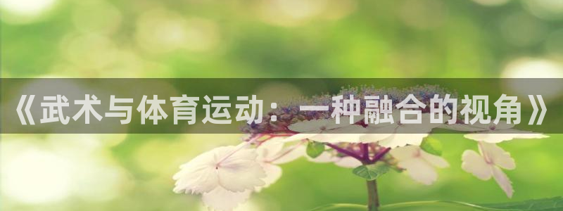 betway西汉姆官网：《武术与体育运动：一种融合的视角》