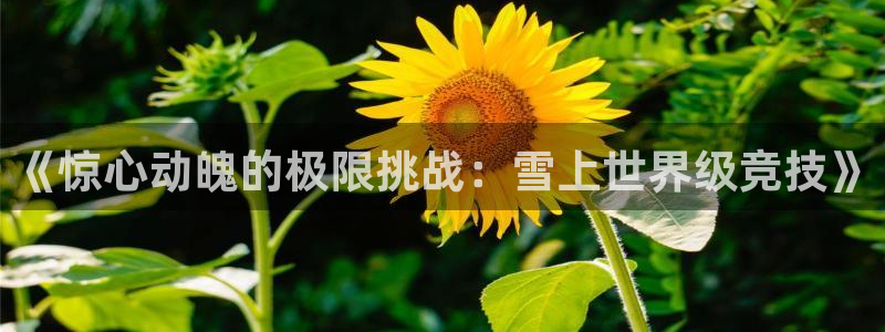 betway西汉姆：《惊心动魄的极限挑战：雪上世界级竞技》