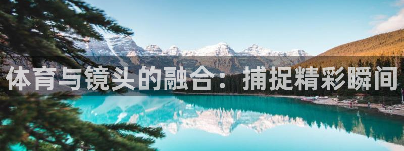 betway西汉姆联官网：体育与镜头的融合：捕捉精彩瞬间