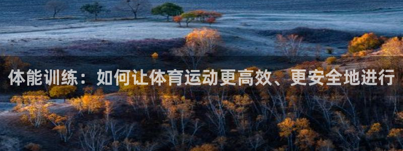 必威betway西汉姆联：体能训练：如何让体育运动更高效、更安全地进行