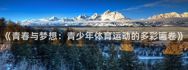 betway西汉姆联：《青春与梦想：青少年体育运动的多彩画卷》