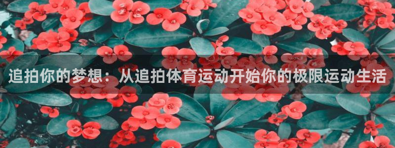 betway西汉姆官网：追拍你的梦想：从追拍体育运动开始你的极限运动生活
