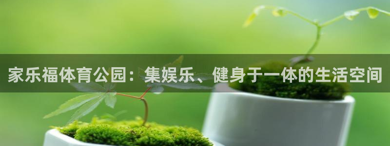 betway西汉姆：家乐福体育公园：集娱乐、健身于一体的生活空间