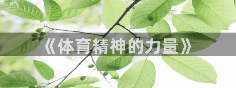 betway西汉姆：《体育精神的力量》