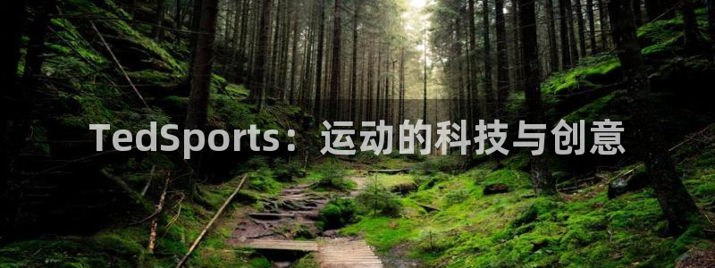 betway西汉姆联官网：TedSports：运动的科技与创意