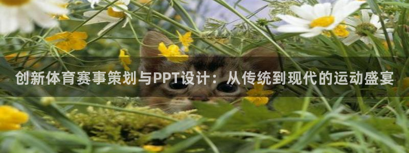 betway西汉姆联官网：创新体育赛事策划与PPT设计：从传统到现代的运动盛宴