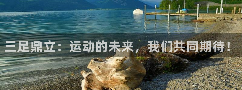 betway西汉姆联：三足鼎立：运动的未来，我们共同期待！
